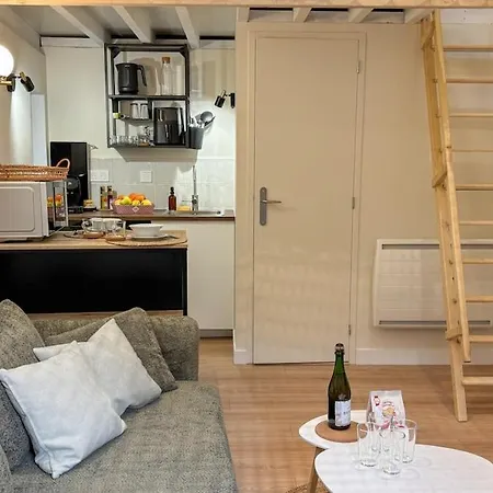 Appartement Le Cocon Suspendu Avec Filet Et Cinema Prive Caen