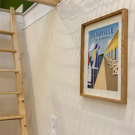 Le Cocon Suspendu Avec Filet Et Cinema Prive Appartement *